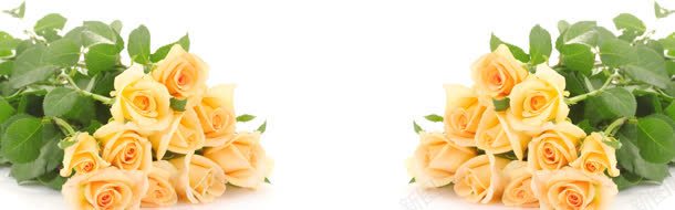 美丽黄玫瑰淘宝海报jpg设计背景_新图网 https://ixintu.com banner 气势 海报背景 淘宝素材 简约大气 背景 背景素材