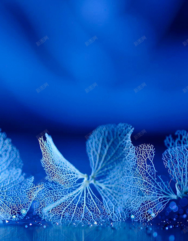 蓝色植物叶子手机端H5背景jpg设计背景_新图网 https://ixintu.com H5背景 叶子 叶子背景 手机端 朦胧 植物 植物叶子 植物背景 纹理 背景 蓝色 质感