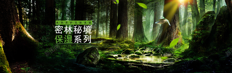 深林bannerjpg设计背景_新图网 https://ixintu.com 化妆品保湿 大气 护肤品 海报banner 深林 绿色