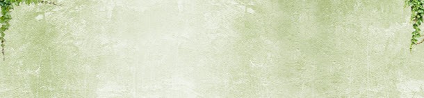 女鞋质感清新背景bannerjpg设计背景_新图网 https://ixintu.com banner 女鞋 清新 背景 藤蔓 质感