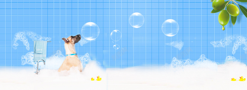 宠物沐浴香波洗护bannerjpg设计背景_新图网 https://ixintu.com 宠物 宠物店 宠物沐浴 宠物用品 宠物美容 沐浴露 泡泡 洗护 洗澡 狗狗 香波