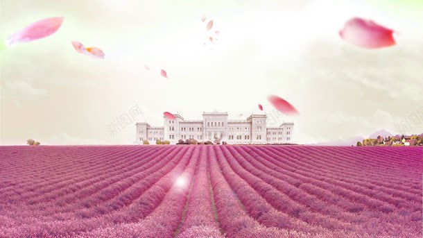 蓝天白云下的粉色花田jpg设计背景_新图网 https://ixintu.com 白云 粉色 蓝天
