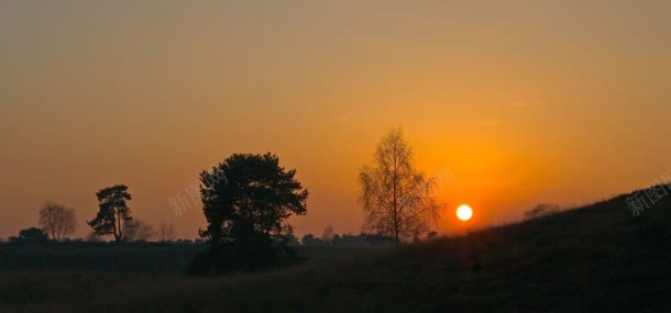 夕阳天空背景jpg设计背景_新图网 https://ixintu.com 夕阳 天空 树林