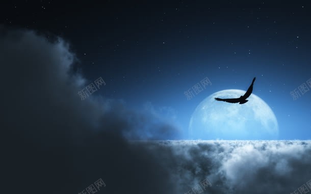 夜晚月亮乌云鸟类背景矢量背景jpg设计背景_新图网 https://ixintu.com 乌云 夜晚 月亮 矢量 背景 鸟类