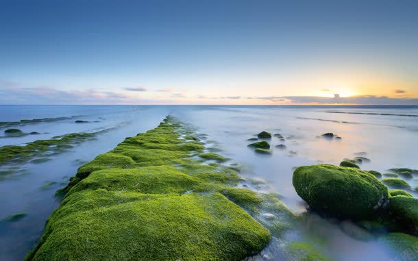 大海绿色石头背景片jpg设计背景_新图网 https://ixintu.com 图片 大海 石头 素材 绿色 背景
