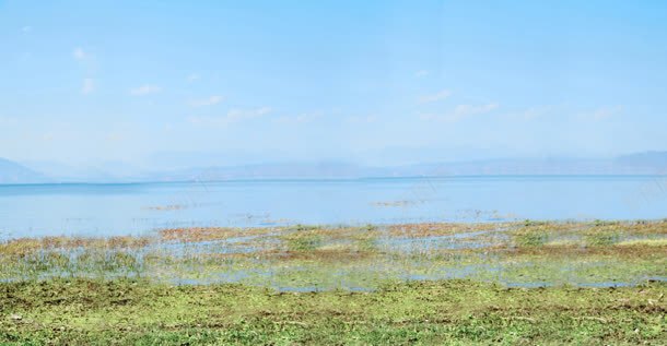 夏季海边湿润草地jpg设计背景_新图网 https://ixintu.com 夏季 海边 湿润 草地