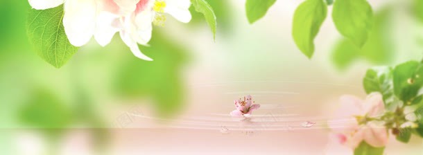 护肤品清新桃花点水唯美背景bannerjpg设计背景_新图网 https://ixintu.com banner 唯美 护肤品 树叶 桃花 清新 点水 背景