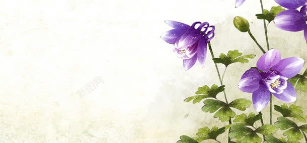 手绘鲜花背景jpg设计背景_新图网 https://ixintu.com 手绘 插画 花朵 鲜花