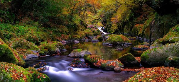 秋季森林河流溪流背景bannerjpg设计背景_新图网 https://ixintu.com banner 森林 河流 溪流 秋季 背景 高清