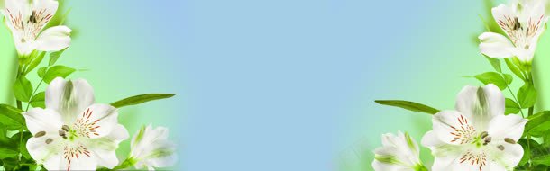 清爽淘宝海报背景jpg设计背景_新图网 https://ixintu.com banner 气势 淘宝素材 简约大气 背景