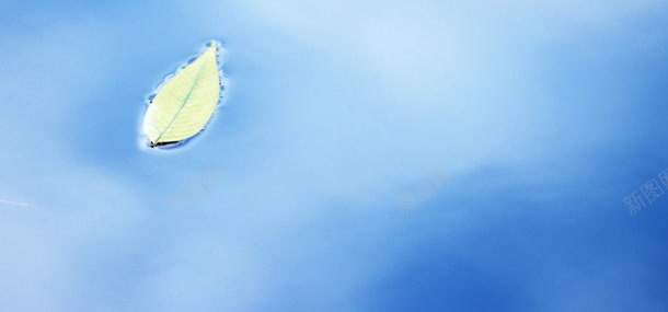 绿叶温馨简约夏季背景jpg设计背景_新图网 https://ixintu.com 夏季 温馨 简约 绿叶 背景
