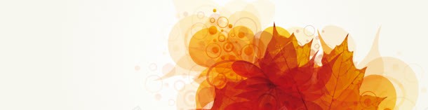 精美秋季枫叶bannerjpg设计背景_新图网 https://ixintu.com 秋叶