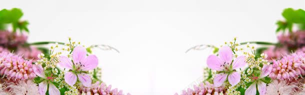 自然风景花瓣淘宝海报背景jpg设计背景_新图网 https://ixintu.com banner 气势 海报背景 淘宝素材 简约大气 背景 背景素材