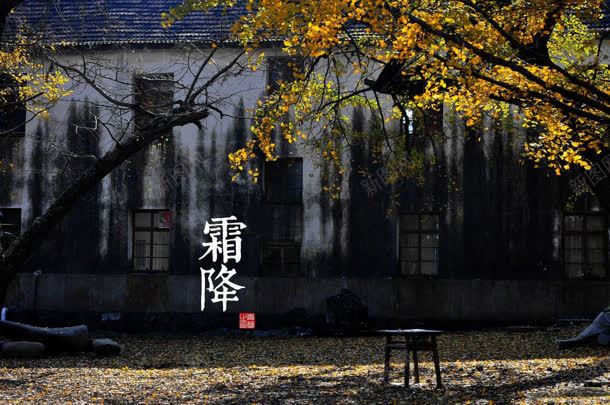 霜降式店铺承接页jpg设计背景_新图网 https://ixintu.com 店铺 承接