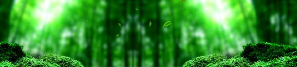 植物护肤树林唯美背景bannerjpg设计背景_新图网 https://ixintu.com banner 唯美 护肤 树叶 树林 植物 绿色 背景