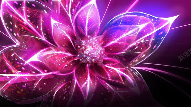 粉色光芒花卉手绘jpg设计背景_新图网 https://ixintu.com 光芒 粉色 花卉