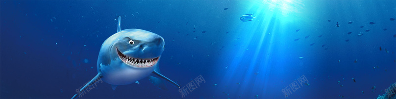 蓝色鲨鱼背景psd设计背景_新图网 https://ixintu.com 地产 大气 大白鲨 户外广告 海底世界 海报banner 绚丽 蓝色 鲨鱼