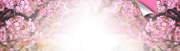 淘宝女鞋唯美背景bannerjpg设计背景_新图网 https://ixintu.com banner 唯美 女鞋 淘宝 背景 花的海洋