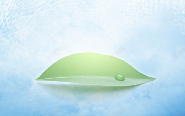 绿色树叶梦幻水珠jpg设计背景_新图网 https://ixintu.com 树叶 梦幻 水珠 绿色