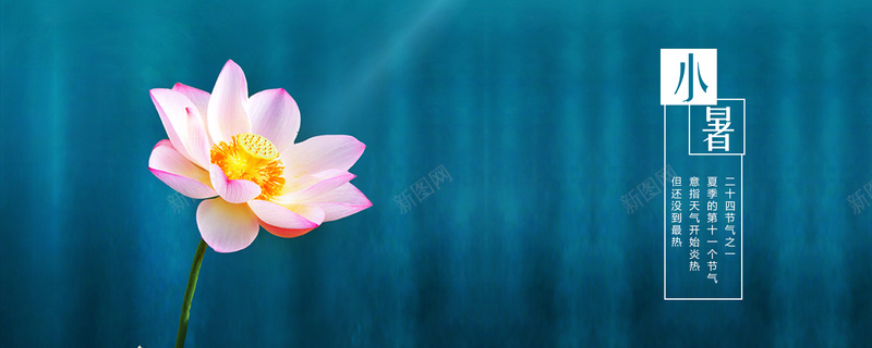 二十四节气小暑荷花banner海报psd设计背景_新图网 https://ixintu.com 一只荷花 二十四节气 传统节气 含苞待放 夏季 小暑 小清新 简约