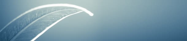 文艺小清新摄影banner壁纸jpg设计背景_新图网 https://ixintu.com 促销 淘宝首页 界面设计 购物