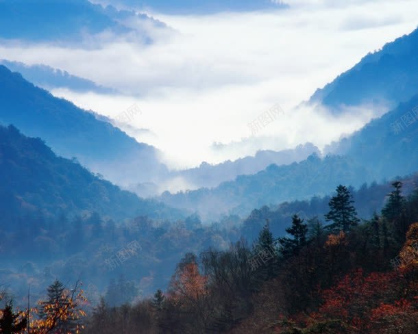 蓝天白云红色枫叶树林jpg设计背景_新图网 https://ixintu.com 枫叶 树林 白云 红色 蓝天