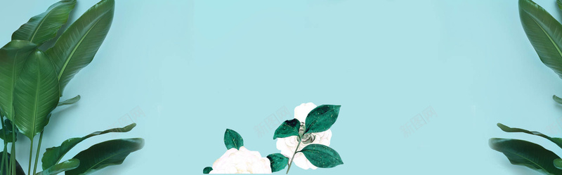 热带植物芭蕉树叶bannerpsd设计背景_新图网 https://ixintu.com 大气 树叶 棕榈 海报banner 热带植物 热带花卉 芭蕉