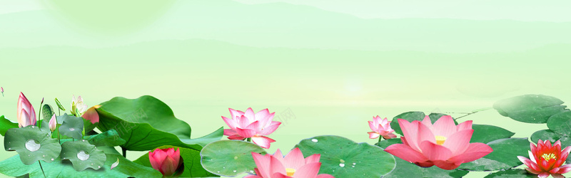 荷花荷叶banner海报背景psd设计背景_新图网 https://ixintu.com 女装 文化 海报banner背景 渔具 特色中国 男装 绿色的湖面 背景 茶具 茶叶 雨具