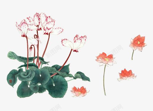 手绘中国风花朵psd免抠素材_新图网 https://ixintu.com 中国风 手绘 绿叶 花丛 荷花 莲花