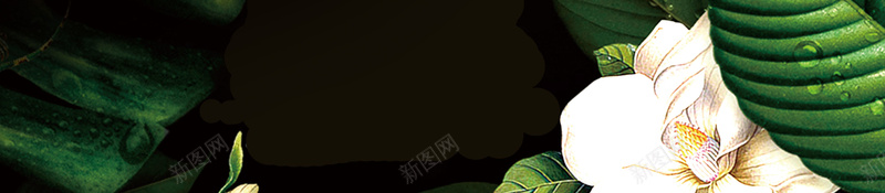 绿色植物简约夏季新品海报jpg设计背景_新图网 https://ixintu.com 促销海报 叶子 夏天海报 新品上市 新品促销 春夏新品 植物 绿色 花朵 黑色背景