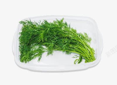 白盘子里的蔬菜png免抠素材_新图网 https://ixintu.com 叶子 新鲜 绿色