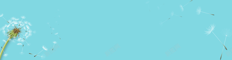 清新背景psd设计背景_新图网 https://ixintu.com 冬装海报 大气 海报banner 电商 羽绒服广告 蒲公英 轮播图 青色