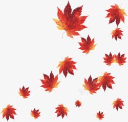 红枫叶png图片下载 红枫叶素材
