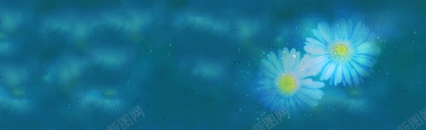 野菊花清新背景bannerjpg设计背景_新图网 https://ixintu.com banner 清新 背景 野菊花