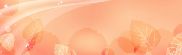 简约炫彩个性淘宝女装bannerjpg设计背景_新图网 https://ixintu.com 女装 植物 素材 色彩
