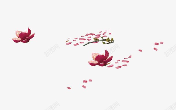 手绘荷花桃花辨png免抠素材_新图网 https://ixintu.com 中国风 手绘荷花桃花辨 红色