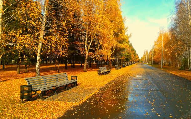 秋天马路旁的长椅jpg设计背景_新图网 https://ixintu.com 秋天 路旁 长椅