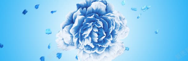 淘宝广告bannerjpg设计背景_新图网 https://ixintu.com 品牌大图 宣传 淘宝内衣品牌 淘宝界面设计 轮播大图 首页