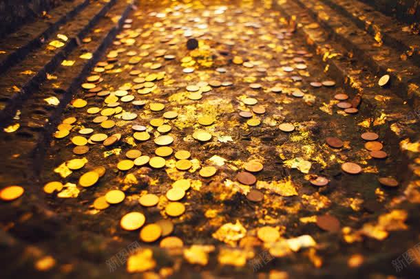 金色枫叶道路浪漫jpg设计背景_新图网 https://ixintu.com 枫叶 浪漫 道路 金色