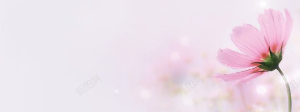 女鞋男鞋箱包梦幻背景jpg设计背景_新图网 https://ixintu.com 梦幻 箱包 背景