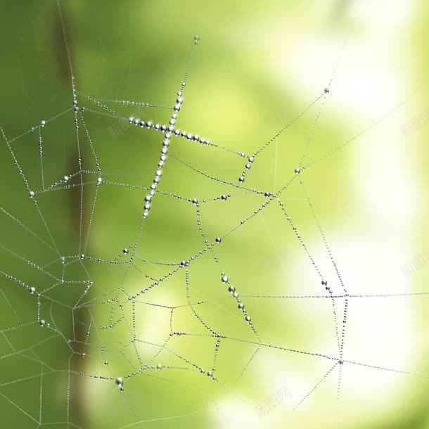蜘蛛网油画jpg设计背景_新图网 https://ixintu.com 图片素材 底纹背景 文化艺术 无框画 欧洲油画 油画 绘画书法 背景花边 蜘蛛网 蜘蛛网油画 蜘蛛网油画图片图片 蜘蛛网油画图片图片素材下载 装饰画