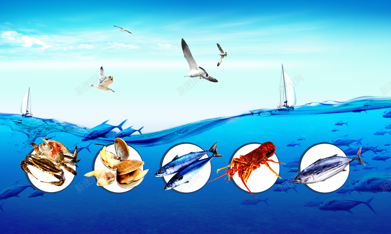 海产品海报背景psd设计背景_新图网 https://ixintu.com 产品 模版下载 海产品 海产品海报图片图片下载 海报 海报素材下载 海水 海鲜 简约