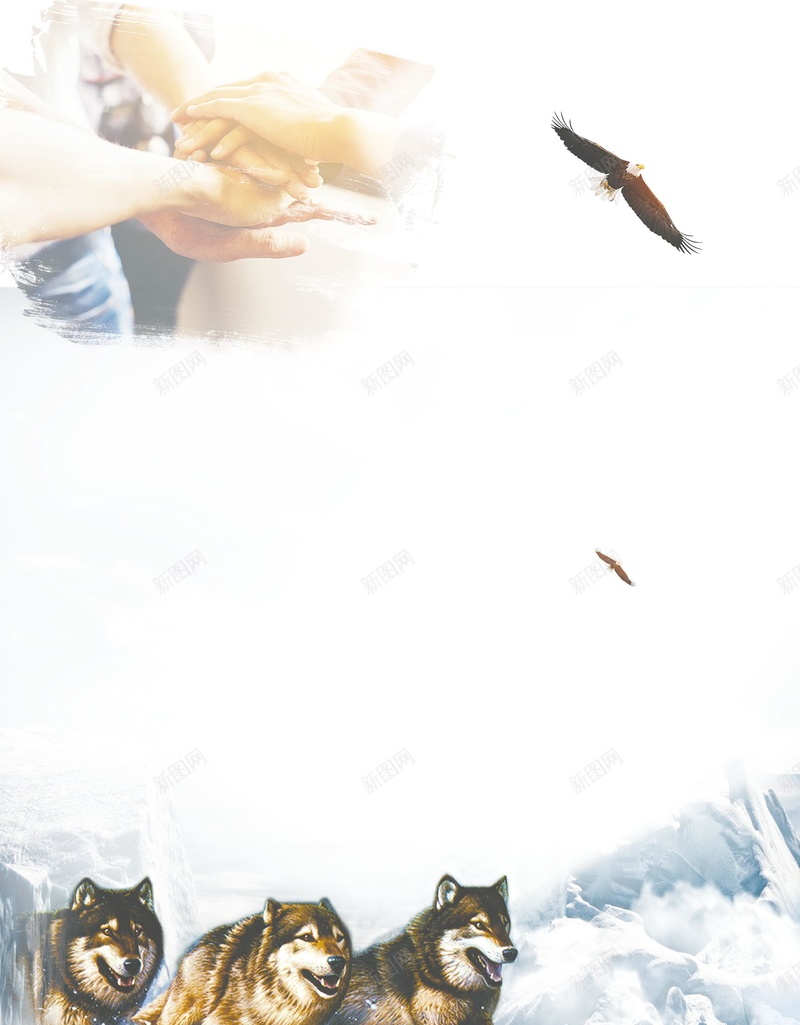 狼性文化企业文化海报psd设计背景_新图网 https://ixintu.com PSD源文件 PSD素材 企业文化 企业理念 企业精神 分层文件 合作 团队 狼性文化 精神 背景模板 背景海报 背景素材 高清背景