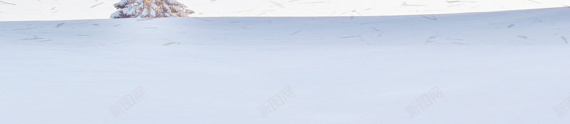 腊梅雪景小清新白色bannerpsd设计背景_新图网 https://ixintu.com 冬天 冬季 冬季暖歌 冬日暖歌 冬至 大寒 大雪 寒冬 小寒 小雪 暖冬 节气 设计 雪 雪景 雪花