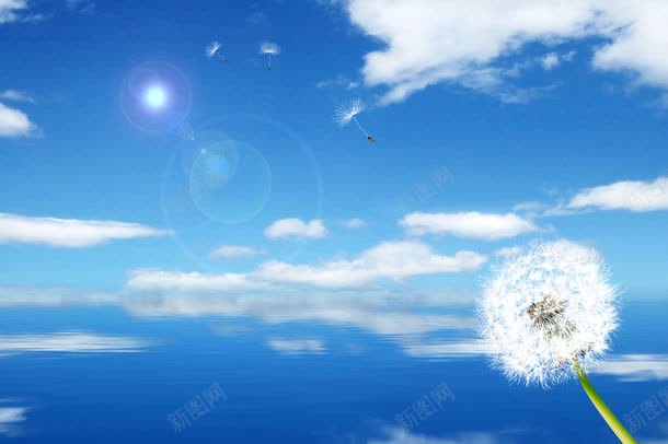 海洋蒲公英jpg设计背景_新图网 https://ixintu.com 图片素材 天空 底纹 底纹背景 手绘 插画 海洋 海洋蒲公英图片 海洋蒲公英图片素材下载 背景 背景墙 背景花边 蒲公英