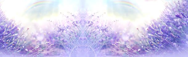 紫色毛玻璃唯美背景bannerjpg设计背景_新图网 https://ixintu.com banner 唯美 毛玻璃 紫色 背景
