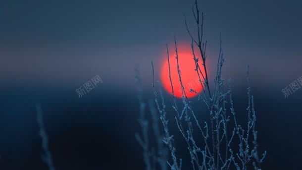 夜晚太阳背景jpg设计背景_新图网 https://ixintu.com 夜晚 太阳 素材 背景