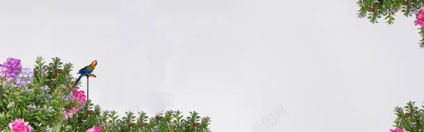 简约花鸟淘宝海报背景bannerjpg设计背景_新图网 https://ixintu.com 淘宝背景 简洁 背景素材 花鸟