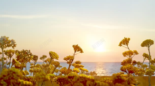 日出落日夕阳秋天唯美风景jpg设计背景_新图网 https://ixintu.com 夕阳 日出 秋天 落日 风景