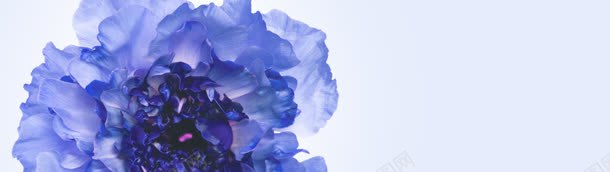 化妆品bannerjpg设计背景_新图网 https://ixintu.com banner 化妆品 化妆品蓝色大图 护肤品 首页大图